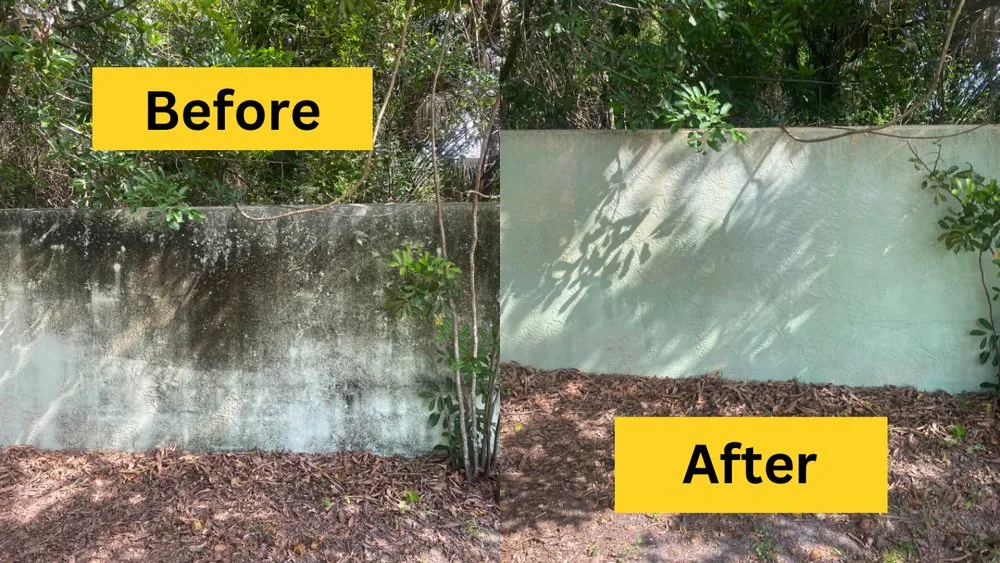 Slide of Peacock Window Cleaning & Pressure Cleaning