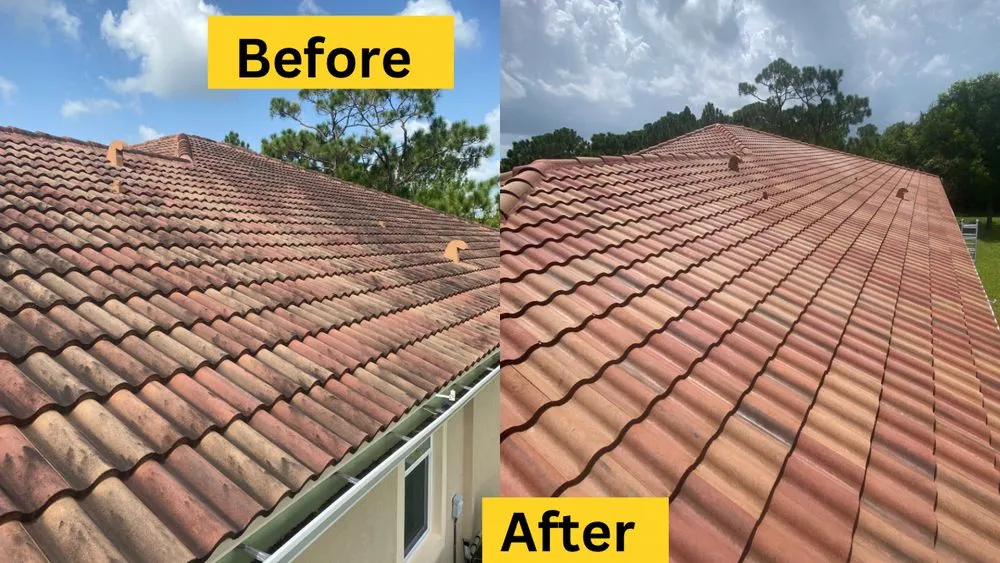 Slide of Peacock Window Cleaning & Pressure Cleaning