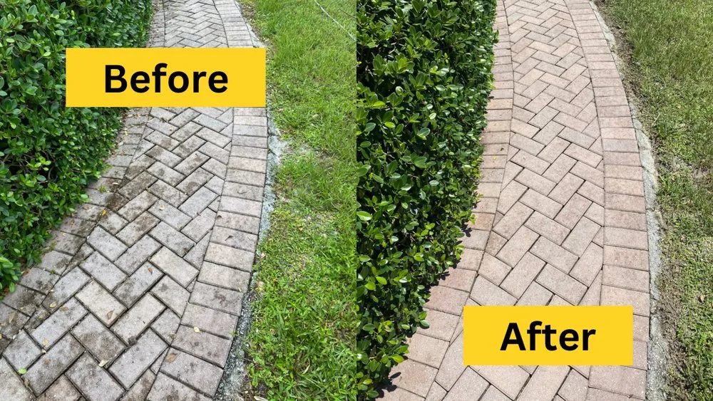 Slide of Peacock Window Cleaning & Pressure Cleaning