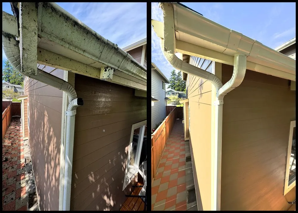 Slide of Peak Pro Wash