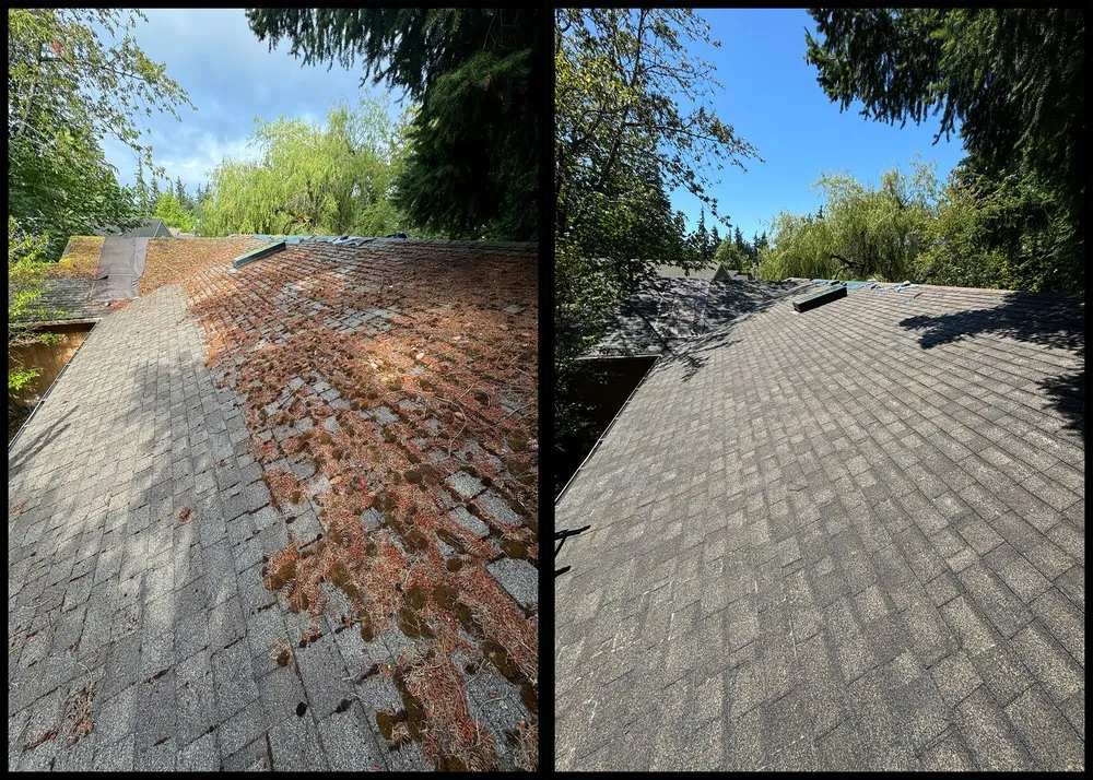 Slide of Peak Pro Wash