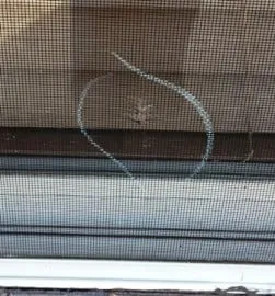 Slide of Peak Roofing & Construction