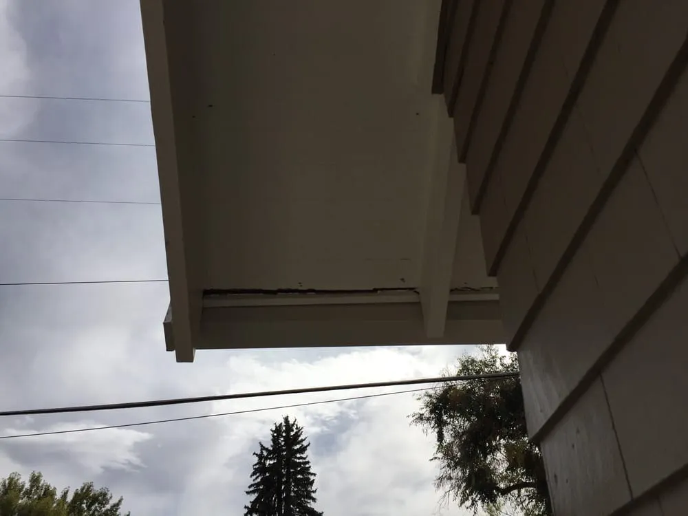 Slide of Peak Roofing Team