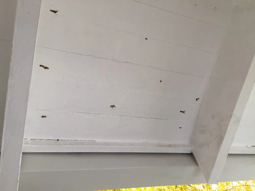 Slide of Peak Roofing Team