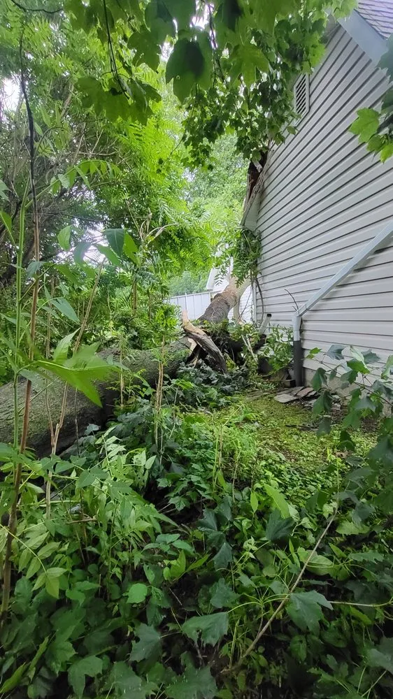 Slide of Peak To Peak Restoration