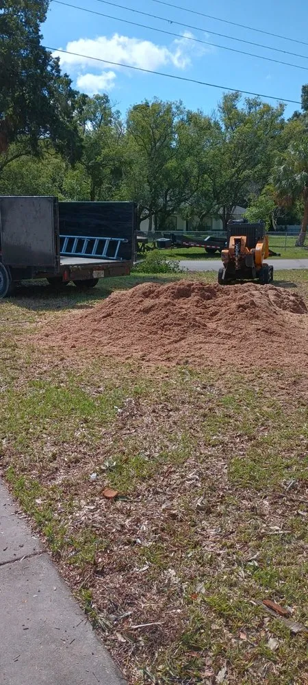 Slide of Pecker Heads Tree & Environmental