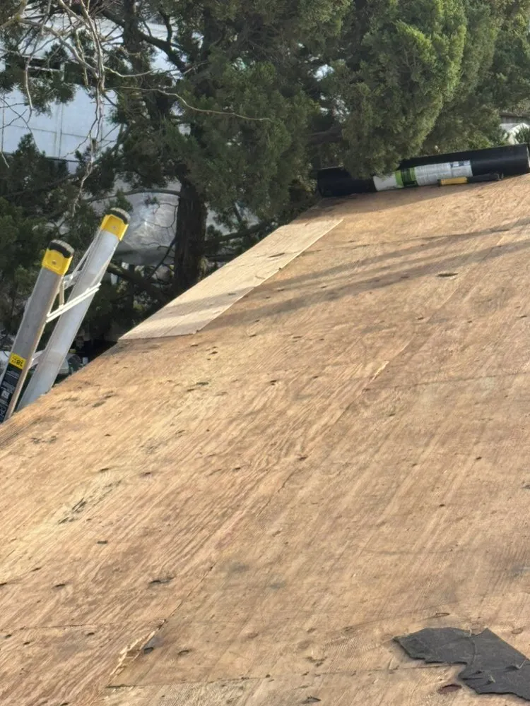 Slide of Pedro’s roofing