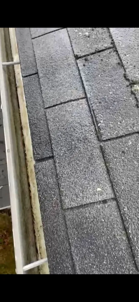 Slide of Pedroza Gutters