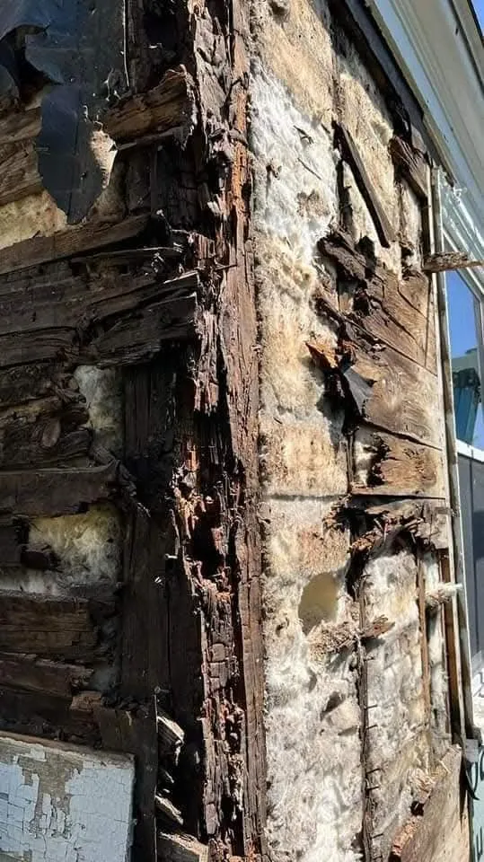 Slide of Peeling Paint & Home Improvement