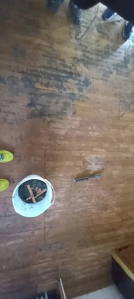 Slide of Peeling Paint & Home Improvement