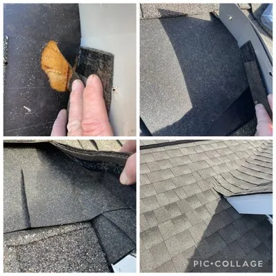 Pelican Exterior Improvements