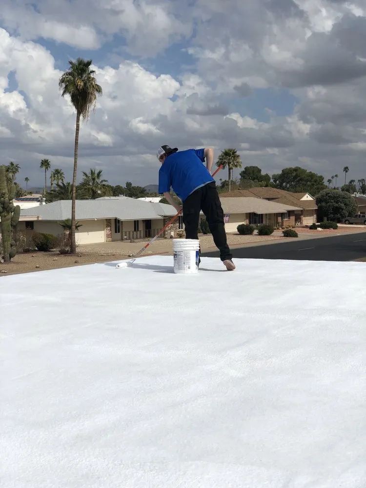 Slide of Pelican Power