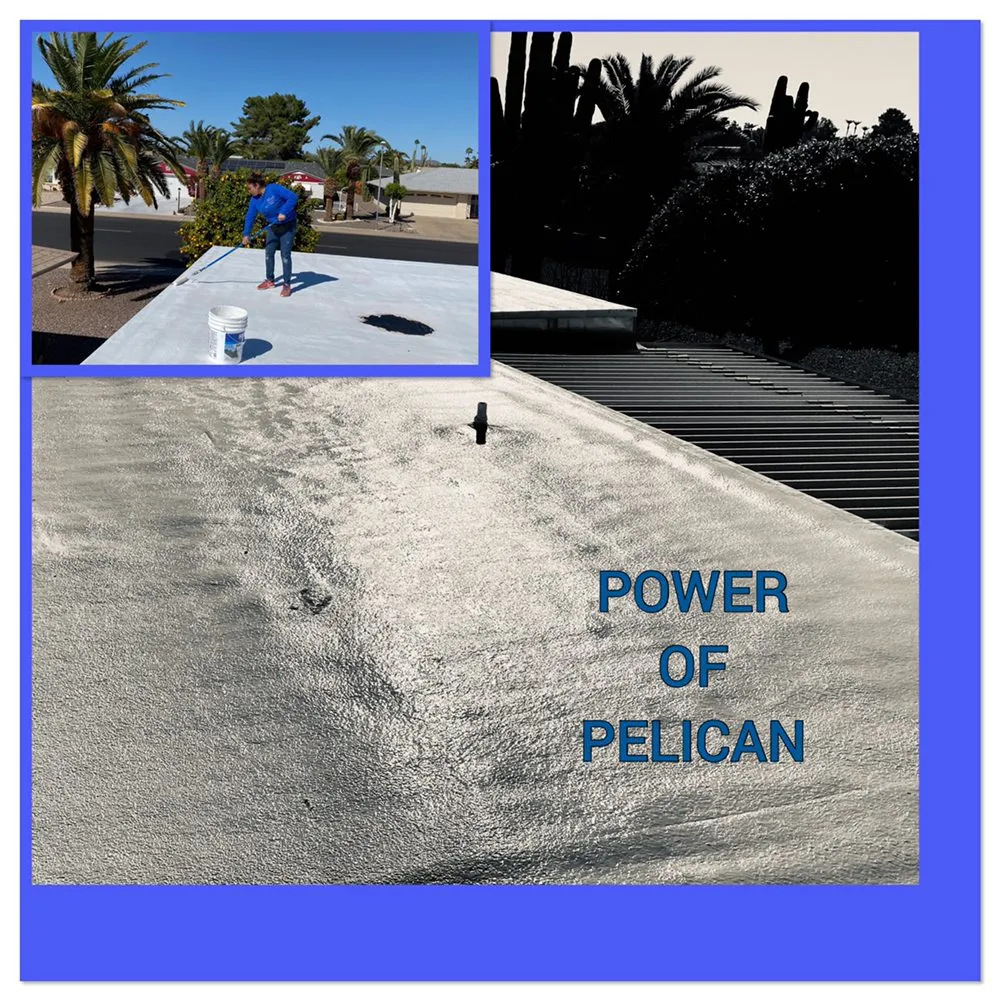 Slide of Pelican Power