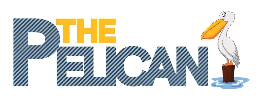 Slide of Pelican Power