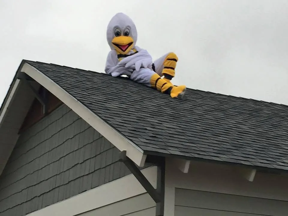 Slide of Pelican Roofing