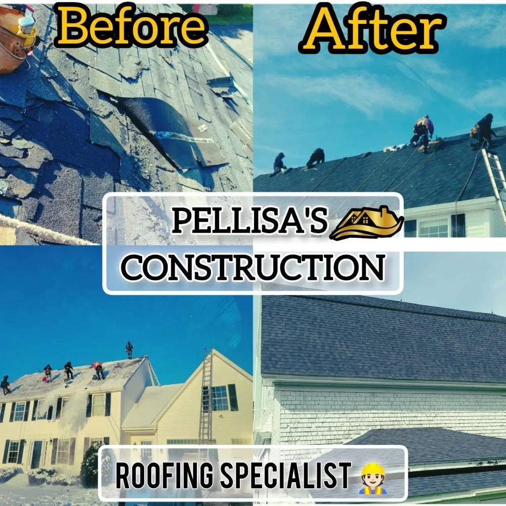 Slide of Pellisa's Construction