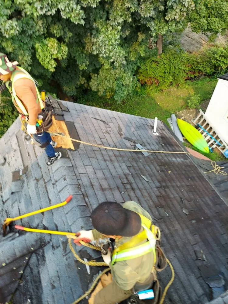 Slide of Pellisa's Construction