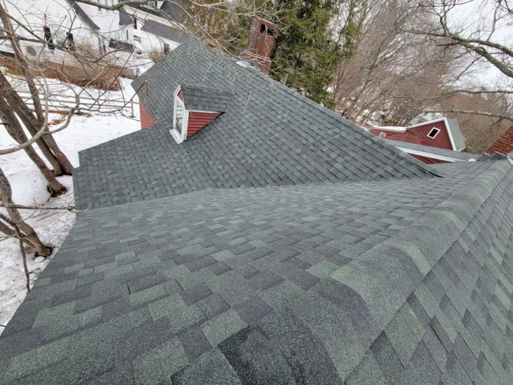 Slide of Pellisa's Construction