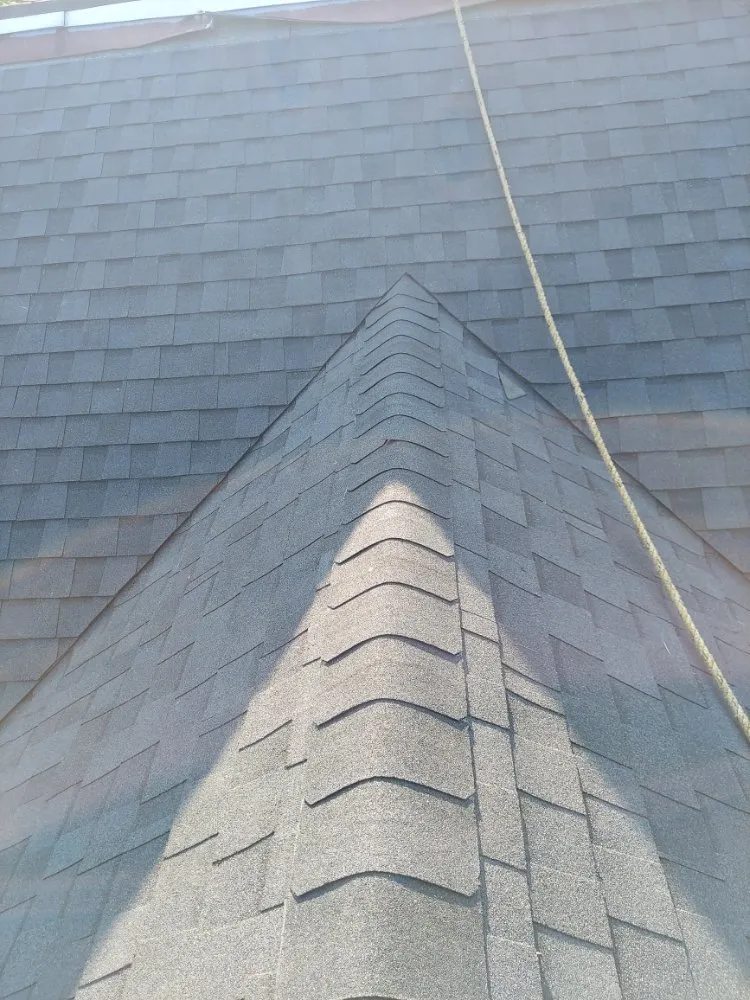 Slide of Pellisa's Construction