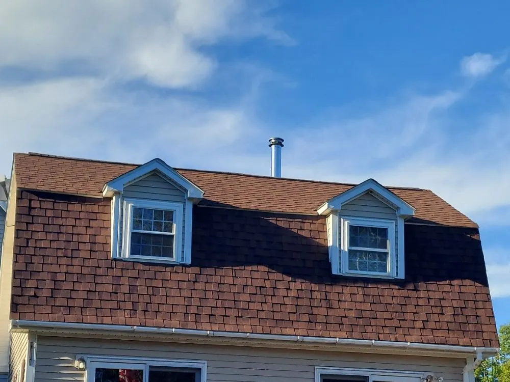 Slide of Pellisa's Construction