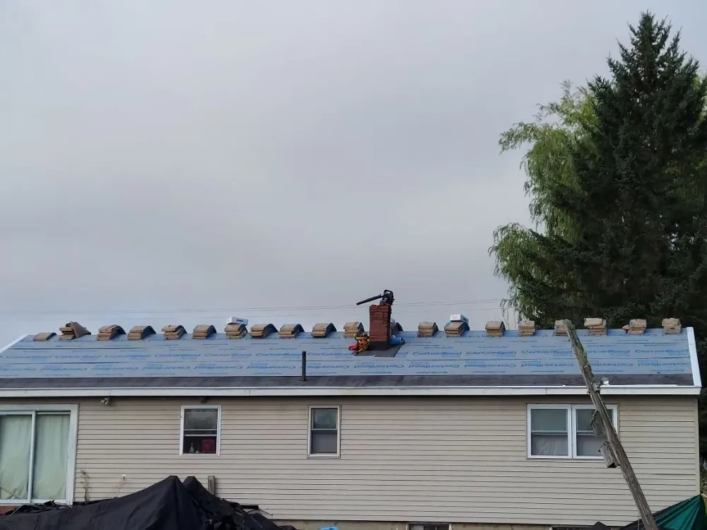 Slide of Pellisa's Construction