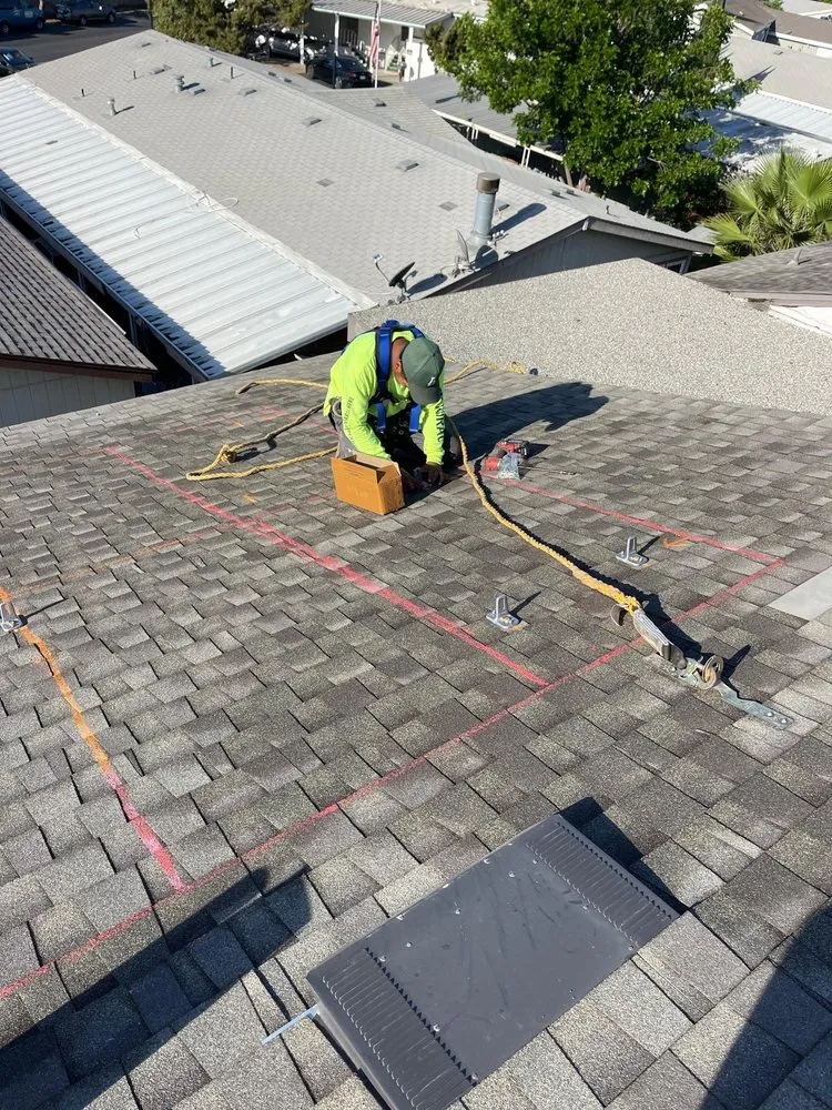 Slide of Penguin Home Solutions