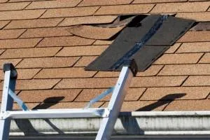 Expert metal roofing installation after storm damage across Olalla, WA - Peninsula Roofing