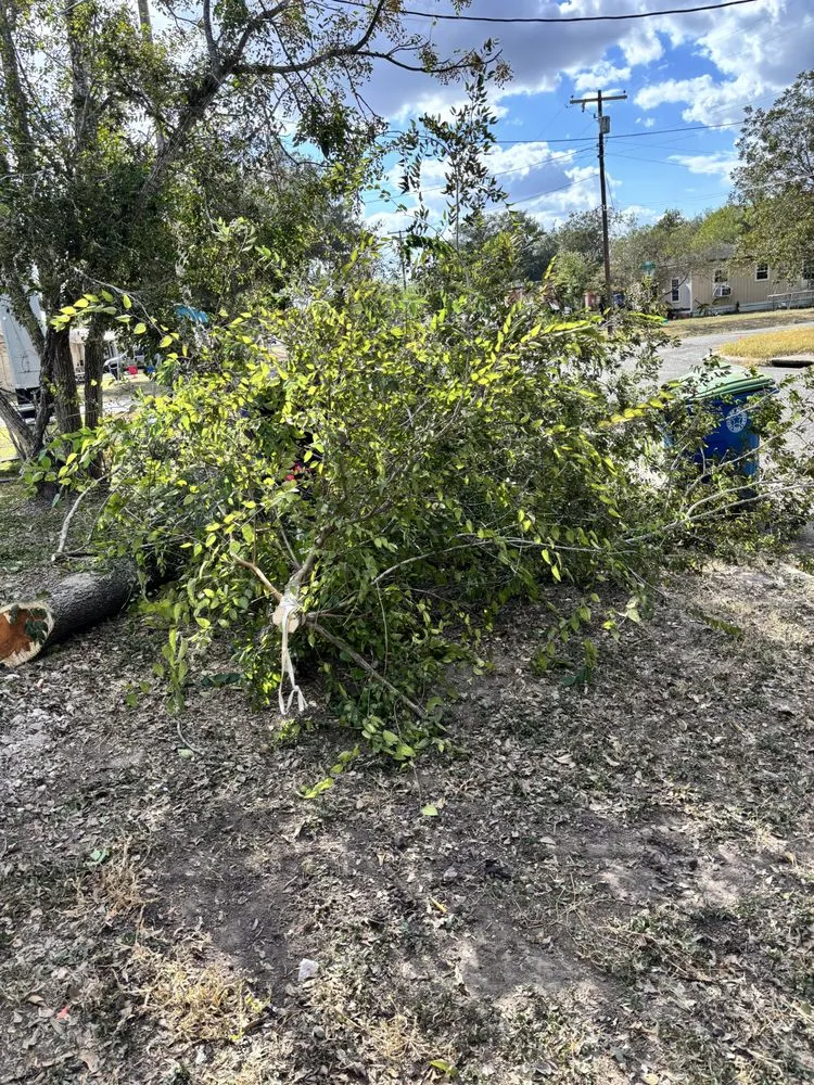 Slide of Pennys Handy Service