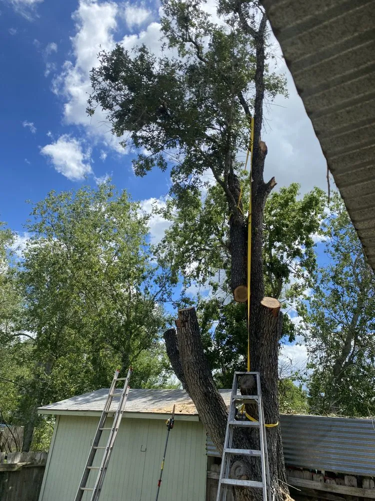 Slide of Pennys Handy Service