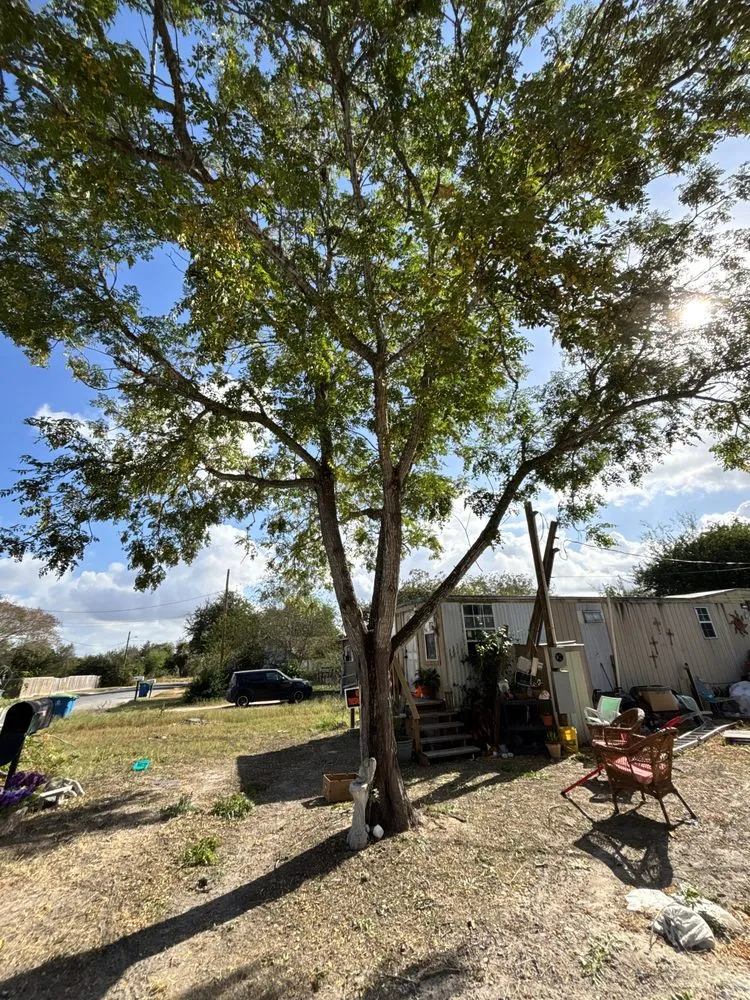 Slide of Pennys Handy Service