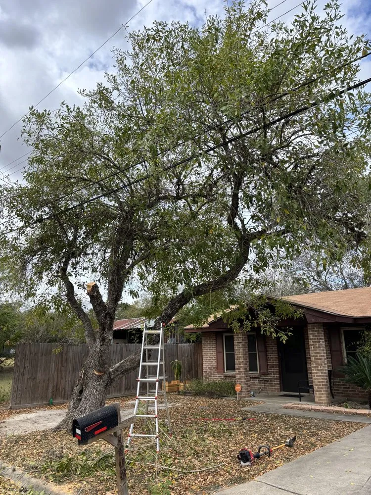 Slide of Pennys Handy Service