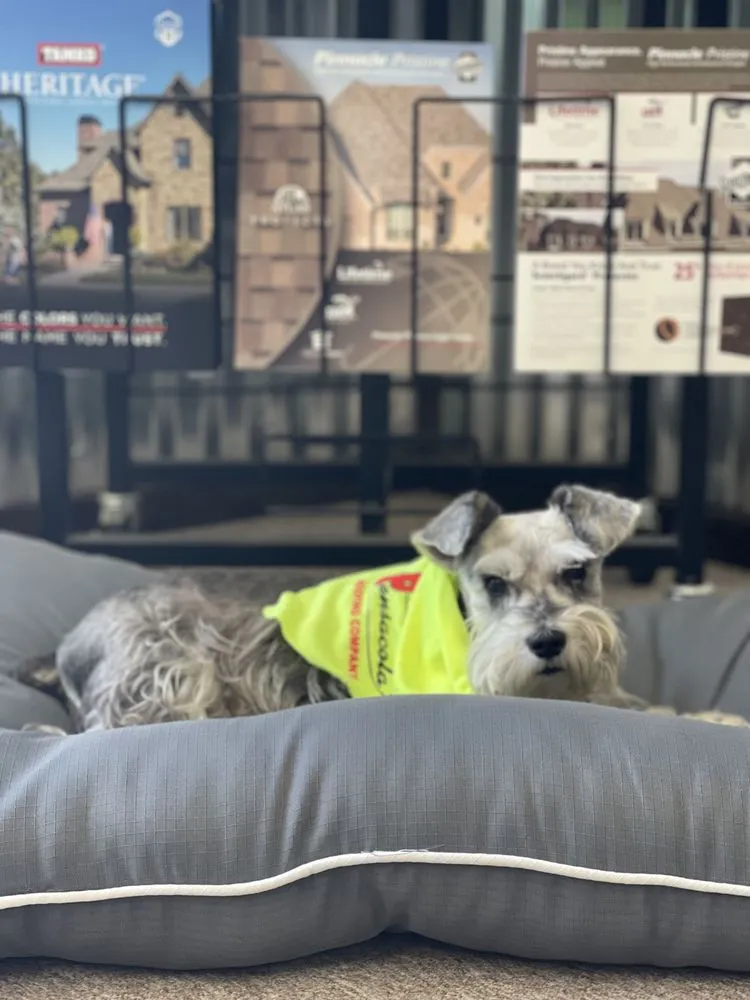 Slide of Pensacola Roofing and Fencing