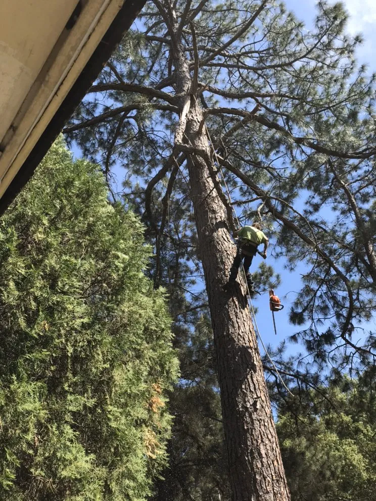 Slide of People Place's Enterprise