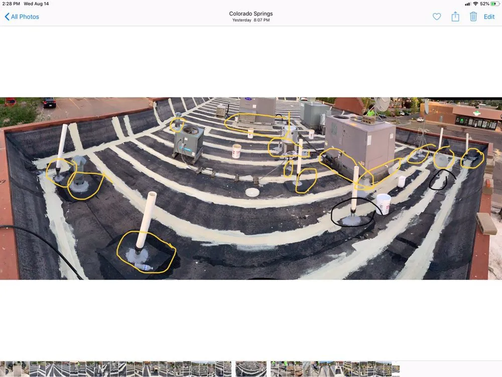 Slide of People’s Choice