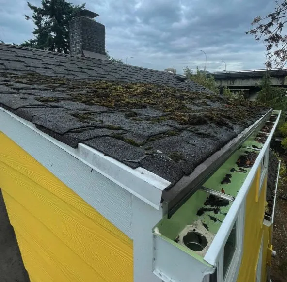 Slide of Perdigon Roofing