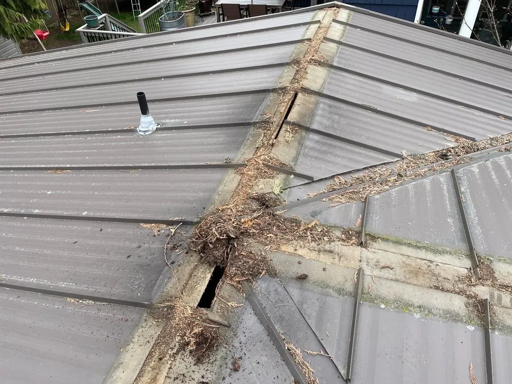 Slide of Perdigon Roofing