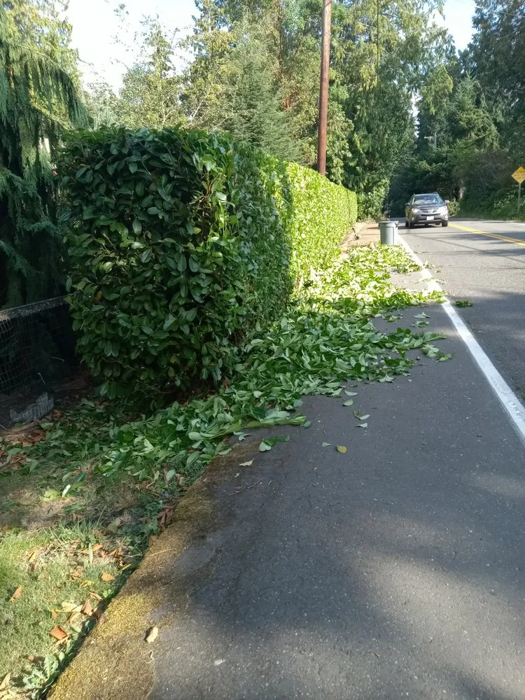 Slide of Perez Landscaping