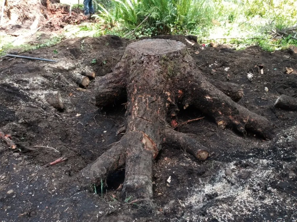 Slide of Perez Landscaping