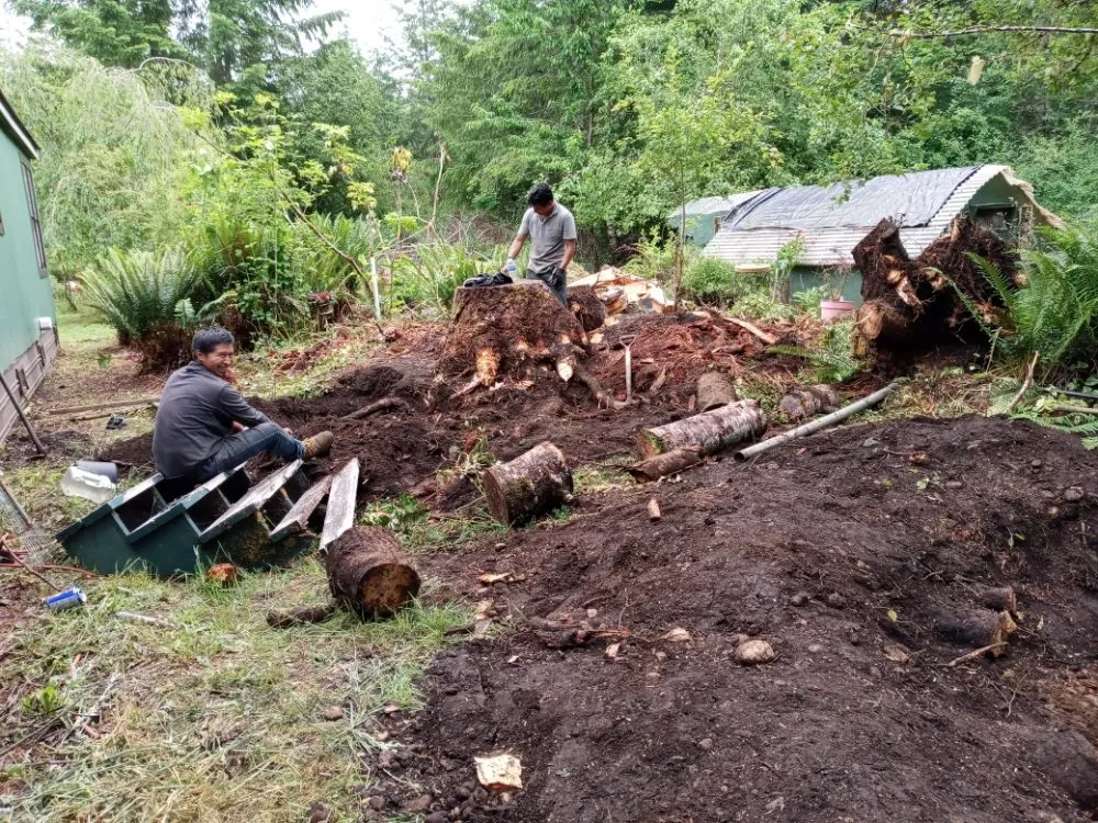 Slide of Perez Landscaping