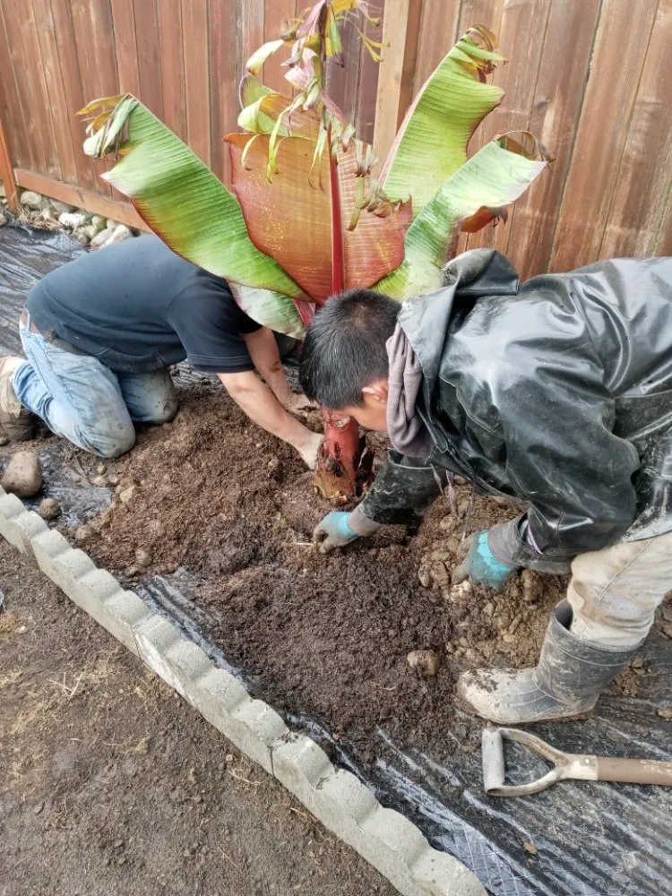Slide of Perez Landscaping