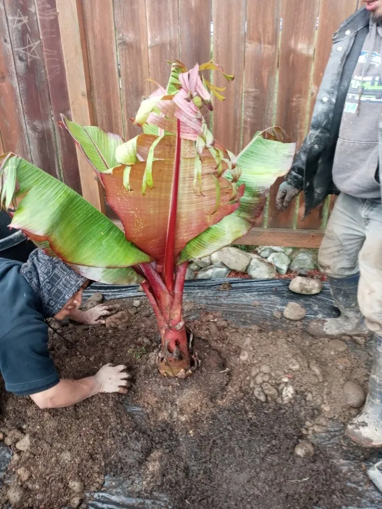 Slide of Perez Landscaping