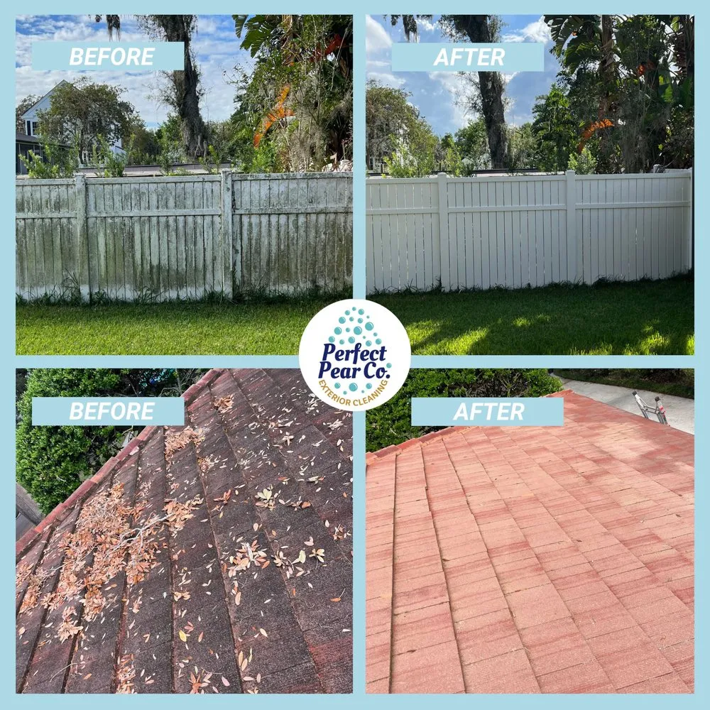 Slide of Perfect Pear