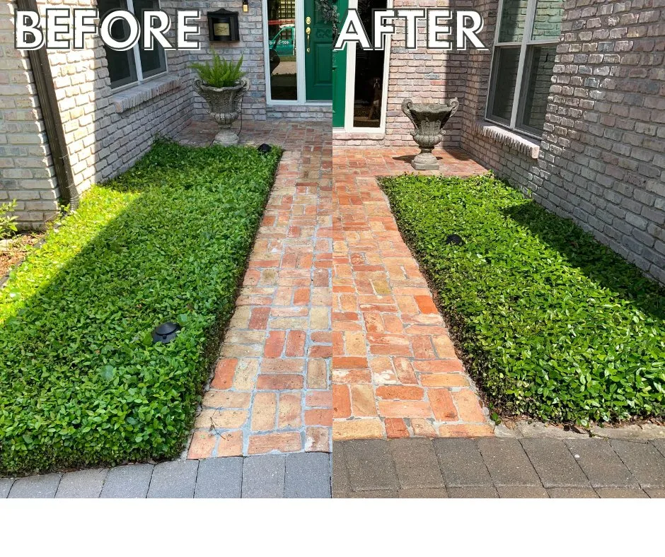 Slide of Perfect Pear