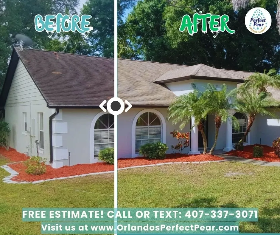 Slide of Perfect Pear