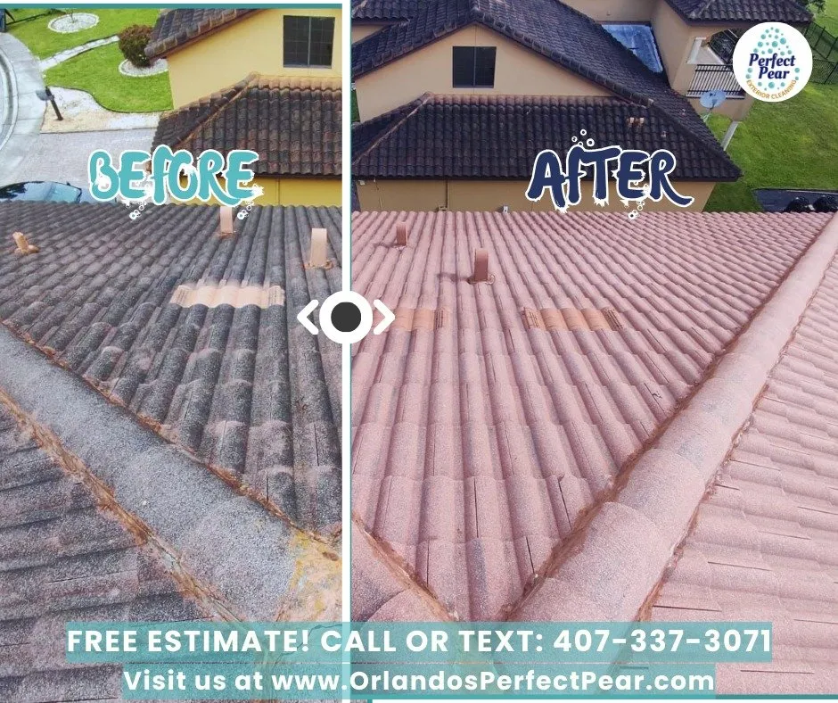 Slide of Perfect Pear