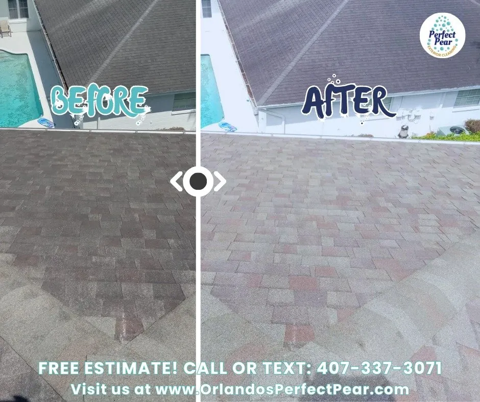 Slide of Perfect Pear