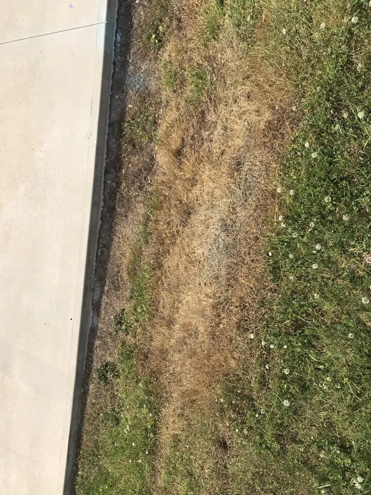 Slide of Perfect-Roof