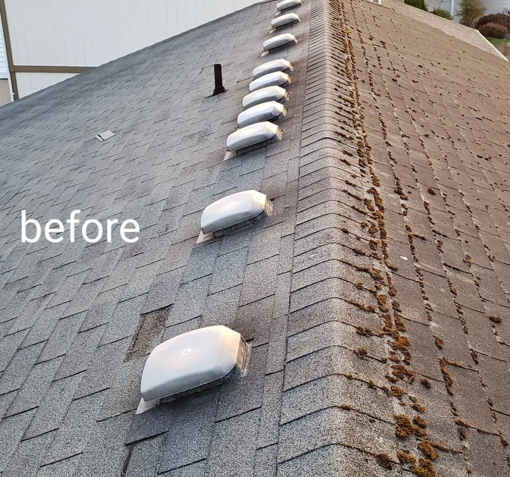 Slide of Perfect Roofing