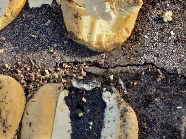 Slide of Perfect Roofing of Florida