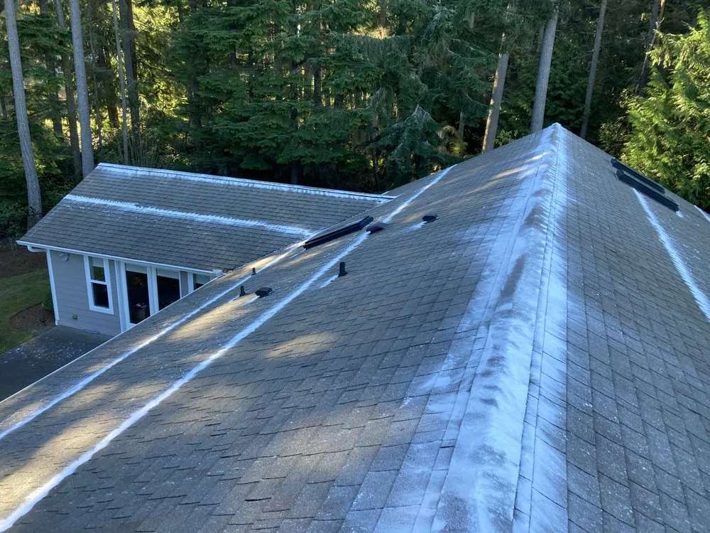 Slide of Perfect View Roof Cleaning & Care